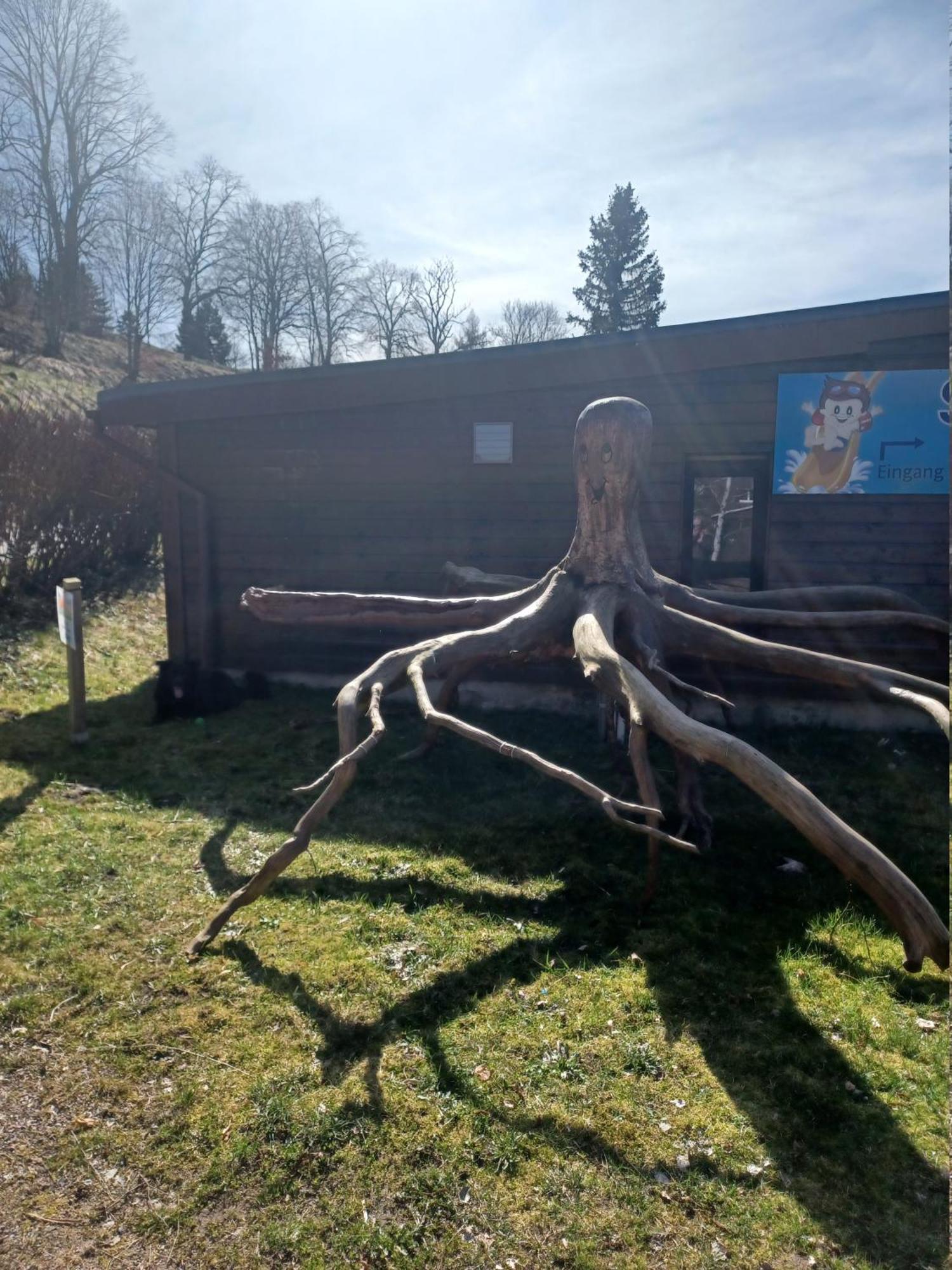 Ferienwohnung Am Schloss Lauenstein Im Erzgebirge Exteriör bild